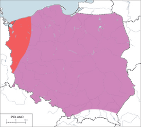 Kokoszka (zwyczajna) - mapa występowania w Polsce