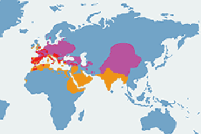 Kopciuszek (zwyczajny) - mapa występowania na świecie