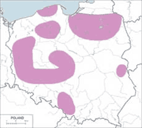 Kormoran czarny - mapa występowania w Polsce