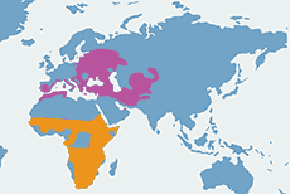 Kraska (zwyczajna) – mapa występowania na świecie