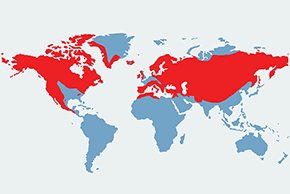 Kruk (zwyczajny) - mapa występowania na świecie