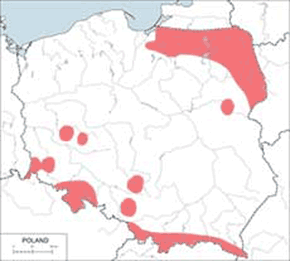 Krzyżodziób świerkowy – mapa występowania w Polsce