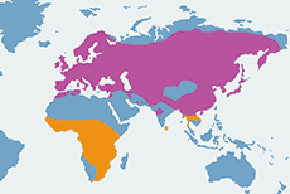 Kukułka (zwyczajna) - mapa występowania na świecie