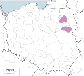 Kulon, kulon zwyczajny - mapa występowania w Polsce