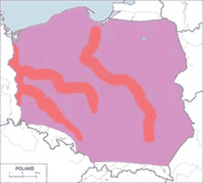 Łabędź niemy - mapa występowania w Polsce