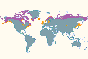 Lodówka – mapa występowania na świecie