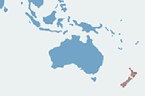 Mewa czarnodzioba - mapa występowania na świecie