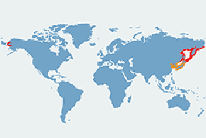 Mewa ochocka - mapa występowania na świecie