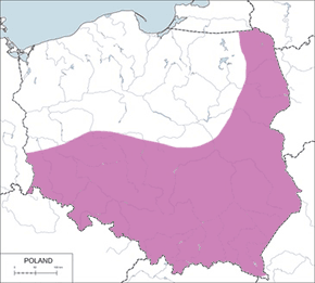 Muchołówka białoszyja - mapa występowania w Polsce