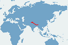 Olśniak himalajski - mapa występowania na świecie