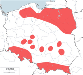 Orzechówka (zwyczajna) - mapa występowania w Polsce