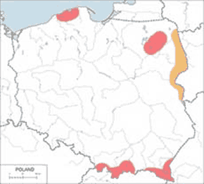 Orzeł przedni – mapa występowania w Polsce