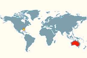 Papużka falista - mapa występowania na świecie