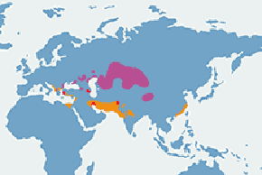 Pelikan kędzierzawy – mapa występowania na świecie