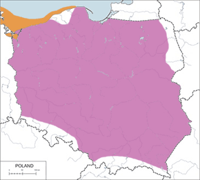 Perkoz rdzawoszyi – mapa występowania w Polsce