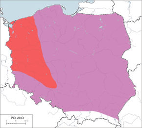 Perkozek (zwyczajny) - mapa występowania w Polsce