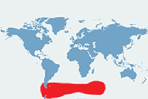 Pingwin złotoczuby - mapa występowania na świecie