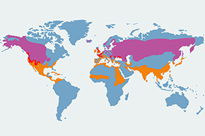 Płaskonos - mapa występowania na świecie