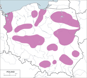 Płaskonos - mapa występowania w Polsce