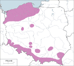 Pliszka górska - mapa występowania w Polsce
