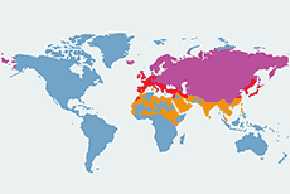 Pliszka siwa – mapa występowania na świecie