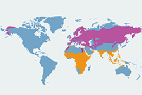 Pliszka żółta - mapa występowania na świecie