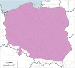Pliszka żółta - mapa występowania w Polsce