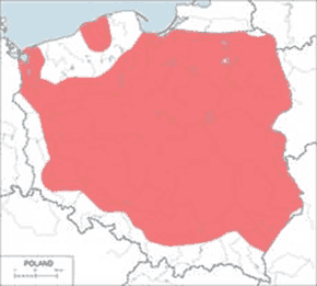 Płomykówka (zwyczajna) - mapa występowania w Polsce