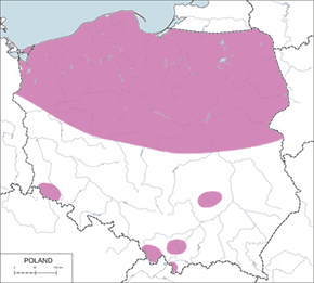 Podróżniczek – mapa występowania w Polsce