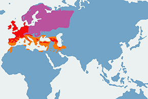 Pokrzywnica – mapa występowania na świecie