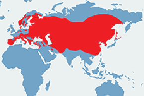 Puchacz (zwyczajny) – mapa występowania na świecie