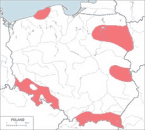 Puchacz (zwyczajny) - mapa występowania w Polsce