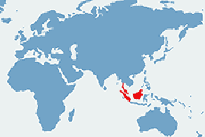 Bezszpon - mapa występowania na świecie