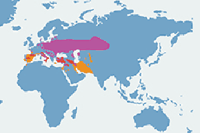 Remiz, remiz zwyczajny - mapa występowania na świecie