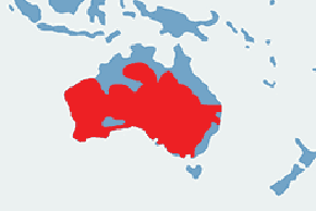 Rozella czarnogłowa – mapa występowania na świecie