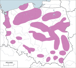 Rybitwa rzeczna - mapa występowania w Polsce