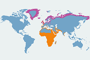 Sieweczka obrożna - mapa występowania na świecie
