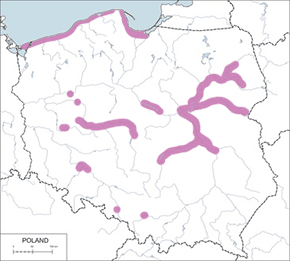 Sieweczka obrożna - mapa występowania w Polsce