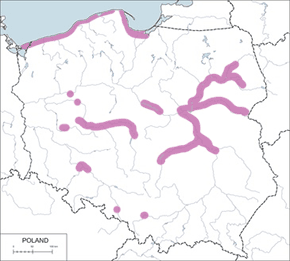 Sieweczka obrożna – mapa występowania w Polsce