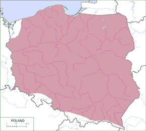 Sieweczka rzeczna – mapa występowania w Polsce