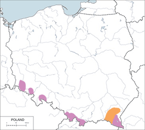 Siwerniak - mapa występowania w Polsce