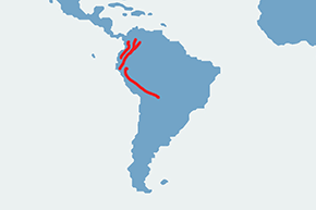 Skalikurek andyjski – mapa występowania na świecie