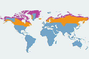 Puchacz śnieżny - mapa występowania na świecie