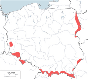 Sóweczka (zwyczajna) - mapa występowania w Polsce