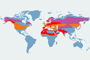Srokosz - mapa występowania na świecie