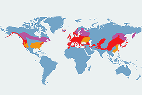 Strzyżyk (zwyczajny) – mapa występowania na świecie