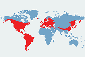 Strzyżyk (zwyczajny) - mapa występowania na świecie