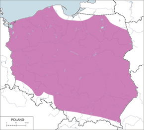 Świergotek polny - mapa występowania w Polsce