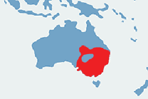 Świergotka seledynowa – mapa występowania na świecie