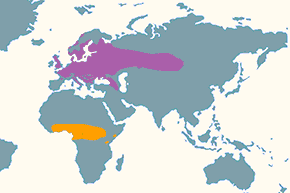 Świstunka leśna - mapa występowania na świecie